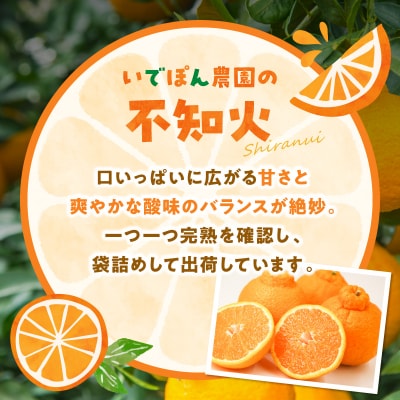 【数量限定】井手尾さん家が丹精込めた天草の不知火とジューシーオレンジ 計約8kg_S086-009