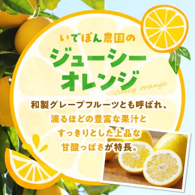 【数量限定】井手尾さん家が丹精込めた天草の不知火とジューシーオレンジ 計約8kg_S086-009