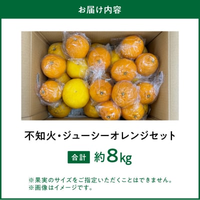 【数量限定】井手尾さん家が丹精込めた天草の不知火とジューシーオレンジ 計約8kg_S086-009