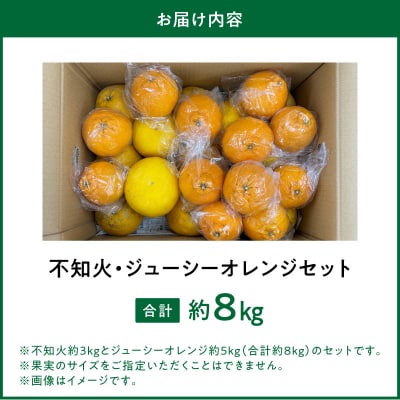 【数量限定】井手尾さん家が丹精込めた天草の不知火とジューシーオレンジ 計約8kg_S086-009
