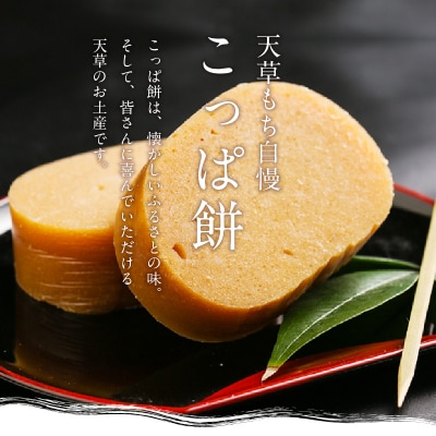 【定期便2回】天草 郷土の味 こっぱ餅詰め合せ 6個入り_S031-002-T02