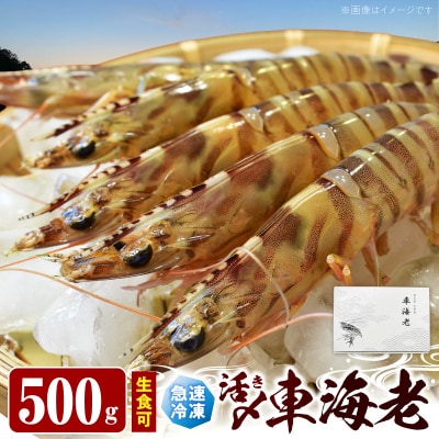 生食可 活き〆急速冷凍車海老500g_S187-002