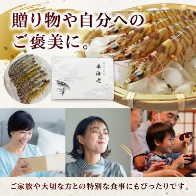生食可 活き〆急速冷凍車海老500g_S187-002