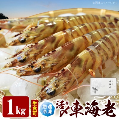 生食可 活き〆急速冷凍車海老1kg_S187-004
