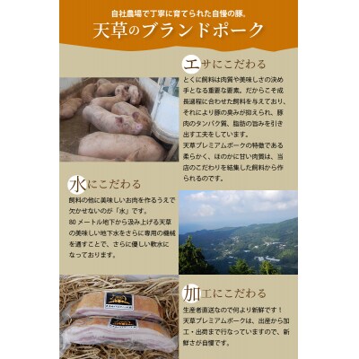 【定期便3回】天草プレミアムポーク 豚こま切れ約2.0kg _S058-021-T03