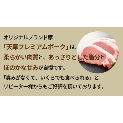 【定期便3回】天草プレミアムポーク 豚こま切れ約1.0kg _S058-026-T03
