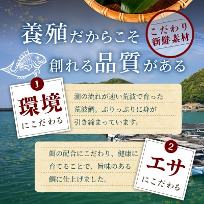 【定期便3回】天草荒波真鯛の3種ごちそう定期便_S006-T03