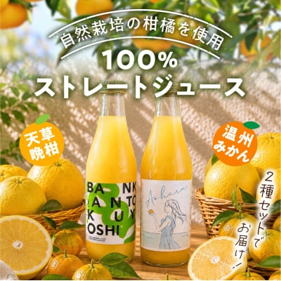 ストレートジュース温州みかん・天草晩柑飲み比べセット_S178-001