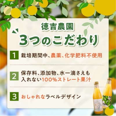 ストレートジュース温州みかん・天草晩柑飲み比べセット_S178-001