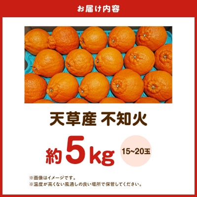 天草産 不知火 約5kg_S153-004