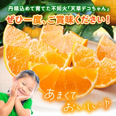 天草産 訳あり 不知火 約10kg_S153-005