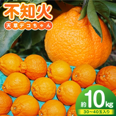 天草産 不知火 約5kg 2箱_S153-006