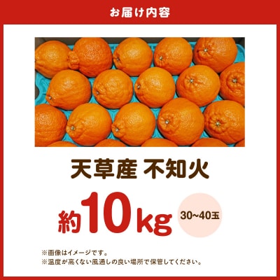 天草産 不知火 約5kg 2箱_S153-006