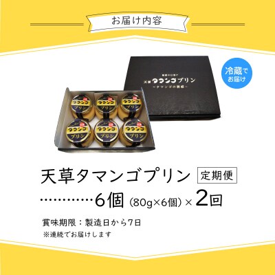 【定期便2回】天草タマンゴプリン6個入り_S164-001-T02