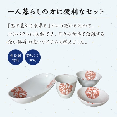 【赤】海松紋一人暮らし食器4点セット_S026-185