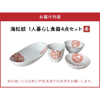 【赤】海松紋一人暮らし食器4点セット_S026-185
