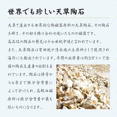 【定期便3回】海松紋食器4点セット_S026-T03