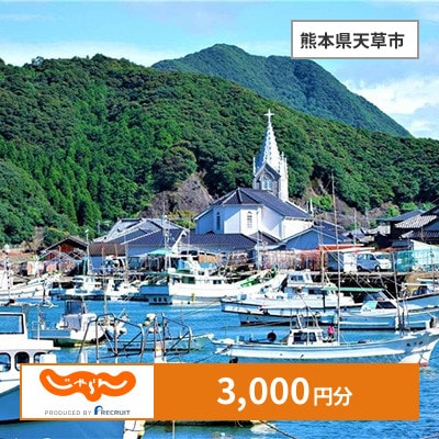 【じゃらんふるさと納税クーポン】 熊本県天草市でつかえる3,000円 クーポン