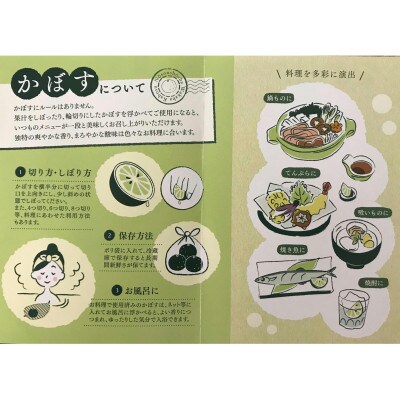 さわやかな果汁たっぷり　竹田かぼす 露地4kg(50玉前後)