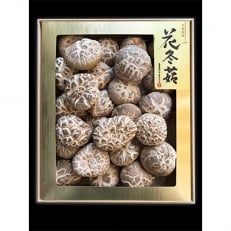 大分県産 吟選花どんこ 300g (乾しいたけ)桐箱入り