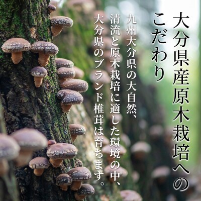 大分県産原木栽培乾しいたけ 家庭用　どんこ　100g×7袋　(乾しいたけ)