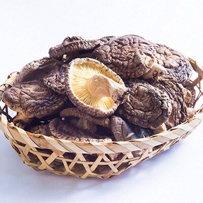 大分県産原木栽培乾しいたけ 家庭用 香信 100g×9袋