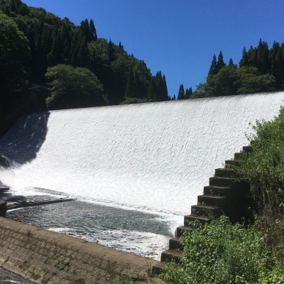 濃縮 姫のトマトベース 4個