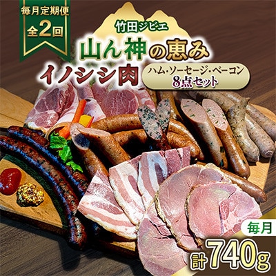 【毎月定期便】【竹田ジビエ】イノシシ肉　ハム・ベーコン・ソーセージ 8点セット(計740g)全2回