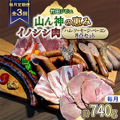 【毎月定期便】【竹田ジビエ】イノシシ肉　ハム・ベーコン・ソーセージ 8点セット(計740g)全3回