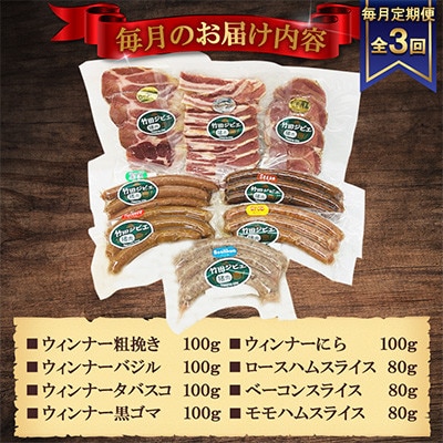 【毎月定期便】【竹田ジビエ】イノシシ肉　ハム・ベーコン・ソーセージ 8点セット(計740g)全3回
