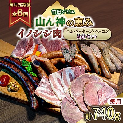【毎月定期便】【竹田ジビエ】イノシシ肉　ハム・ベーコン・ソーセージ 8点セット(計740g)全6回