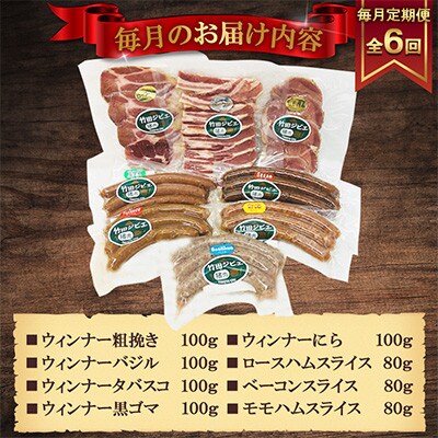 【毎月定期便】【竹田ジビエ】イノシシ肉　ハム・ベーコン・ソーセージ 8点セット(計740g)全6回
