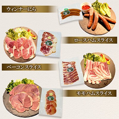 【毎月定期便】【竹田ジビエ】イノシシ肉　ハム・ベーコン・ソーセージ 8点セット(計740g)全6回