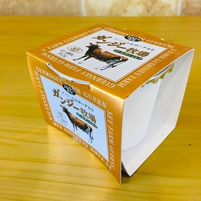 ガンジーヨーグルト90g　24個入り
