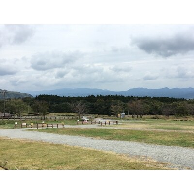 ガンジー牧場　人気チーズ2種セット