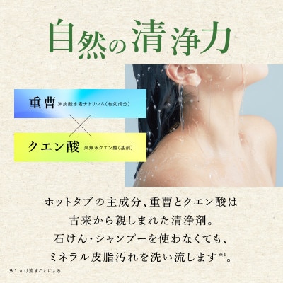 【毎月定期便】炭酸泉入浴剤 長湯ホットタブClassic 90錠入全10回