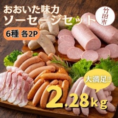 大分県産 おおいた味力 ソーセージセット 計2.28kg【大分県5市共同】(竹田市)