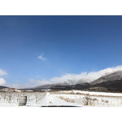 大分県久住ワイナリーの久住高原育ち赤白辛口2本セット