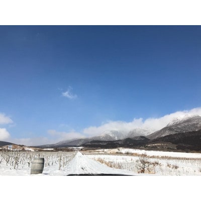 大分県久住ワイナリーの九州葡萄使用赤白辛口4本セット
