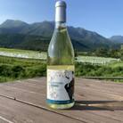 久住ワイナリーのナイアガラVIRGO　720ml×1本