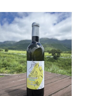 久住ワイナリーのシャルドネAquarius　720ml×1本