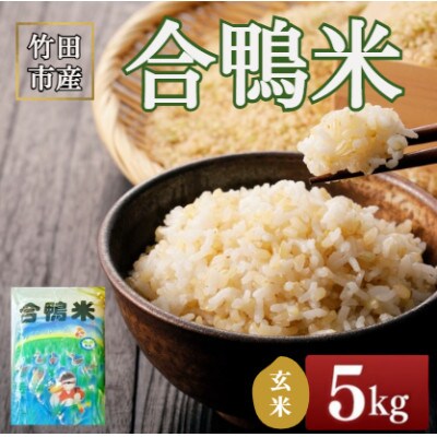 竹田市産　合鴨米 玄米5kg