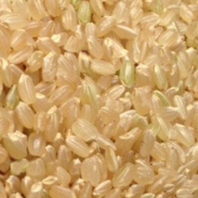 竹田市産　合鴨米 玄米5kg