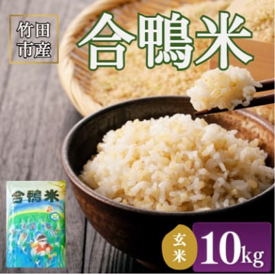 竹田市産　合鴨米 玄米10kg