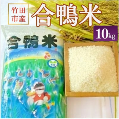 竹田市産 合鴨米 白米 10kg