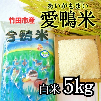 竹田市産 愛鴨米 白米 5kg