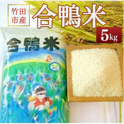 竹田市産 合鴨米 白米 5kg