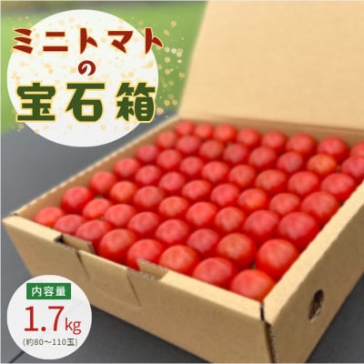 輝くミニトマトの宝石箱
