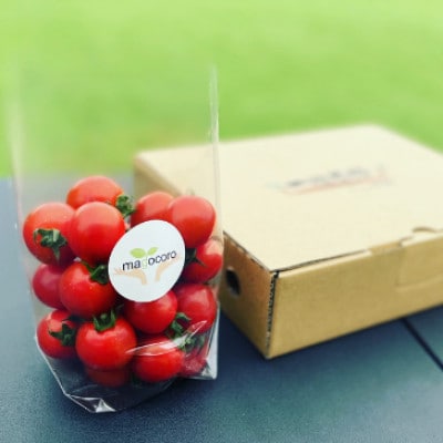 輝くミニトマトの宝石箱