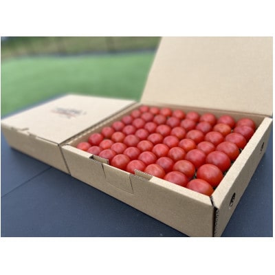輝くミニトマトの宝石箱 約1.7キロ(80～110玉)×2箱